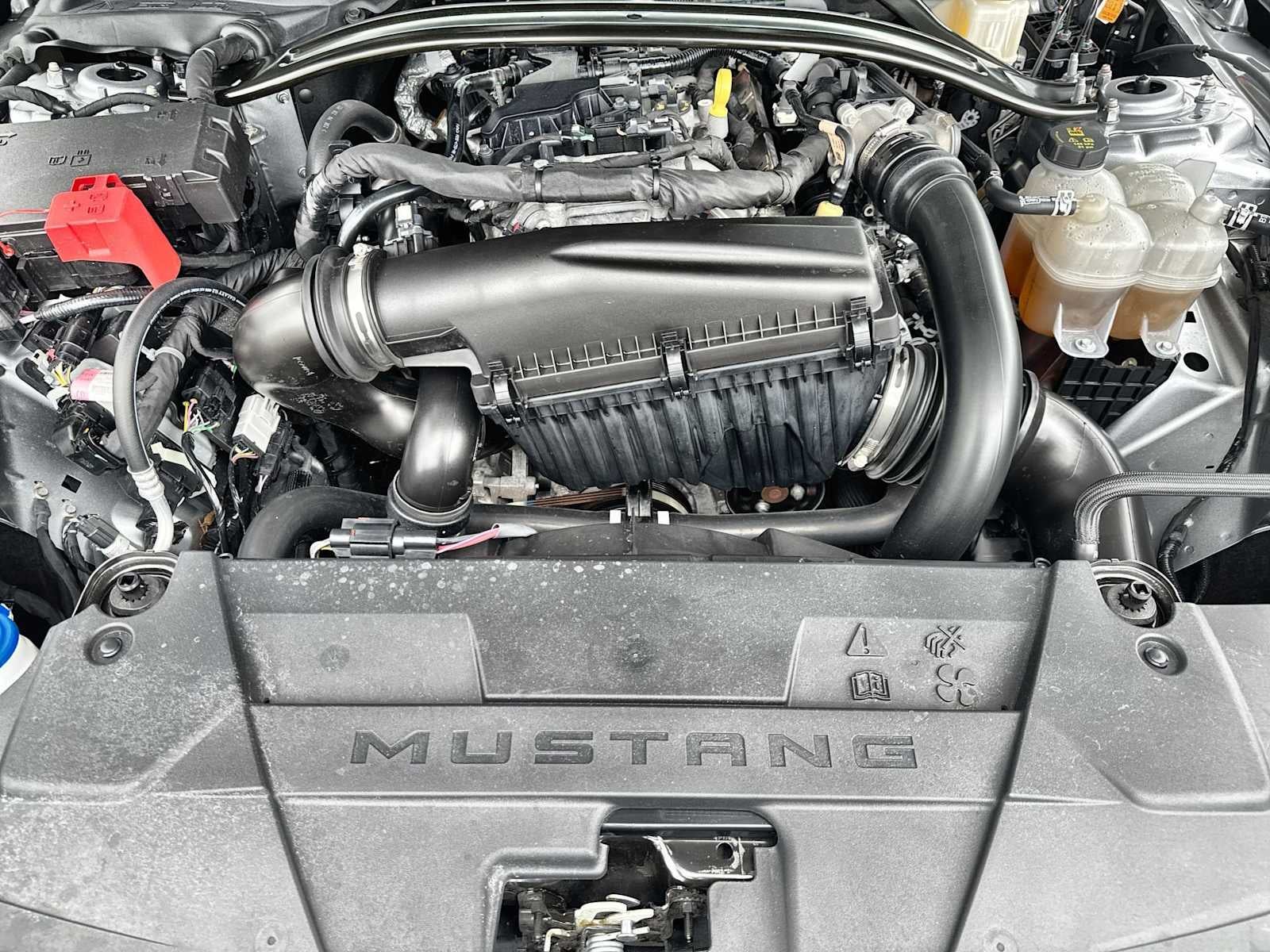 Ford Mustang EcoBoost Premium 2025