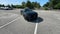 Ford Mustang EcoBoost Premium 2024