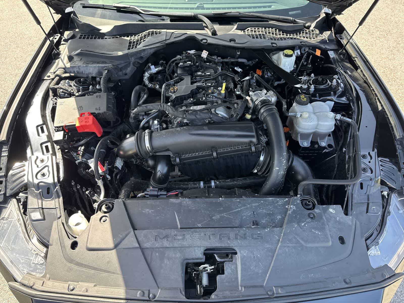 Ford Mustang EcoBoost Premium 2024