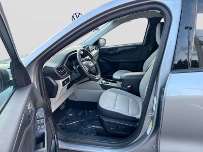 Ford Escape Active 2024