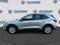 Ford Escape Active 2024