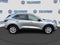 Ford Escape Active 2024