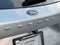 Ford Escape Active 2024