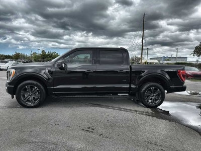 Ford F-150 XLT 2023