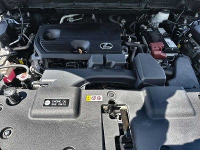 Lexus NX 250 2022 NX 250