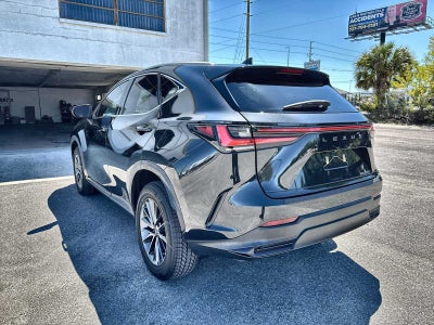 Lexus NX 250 2022 NX 250