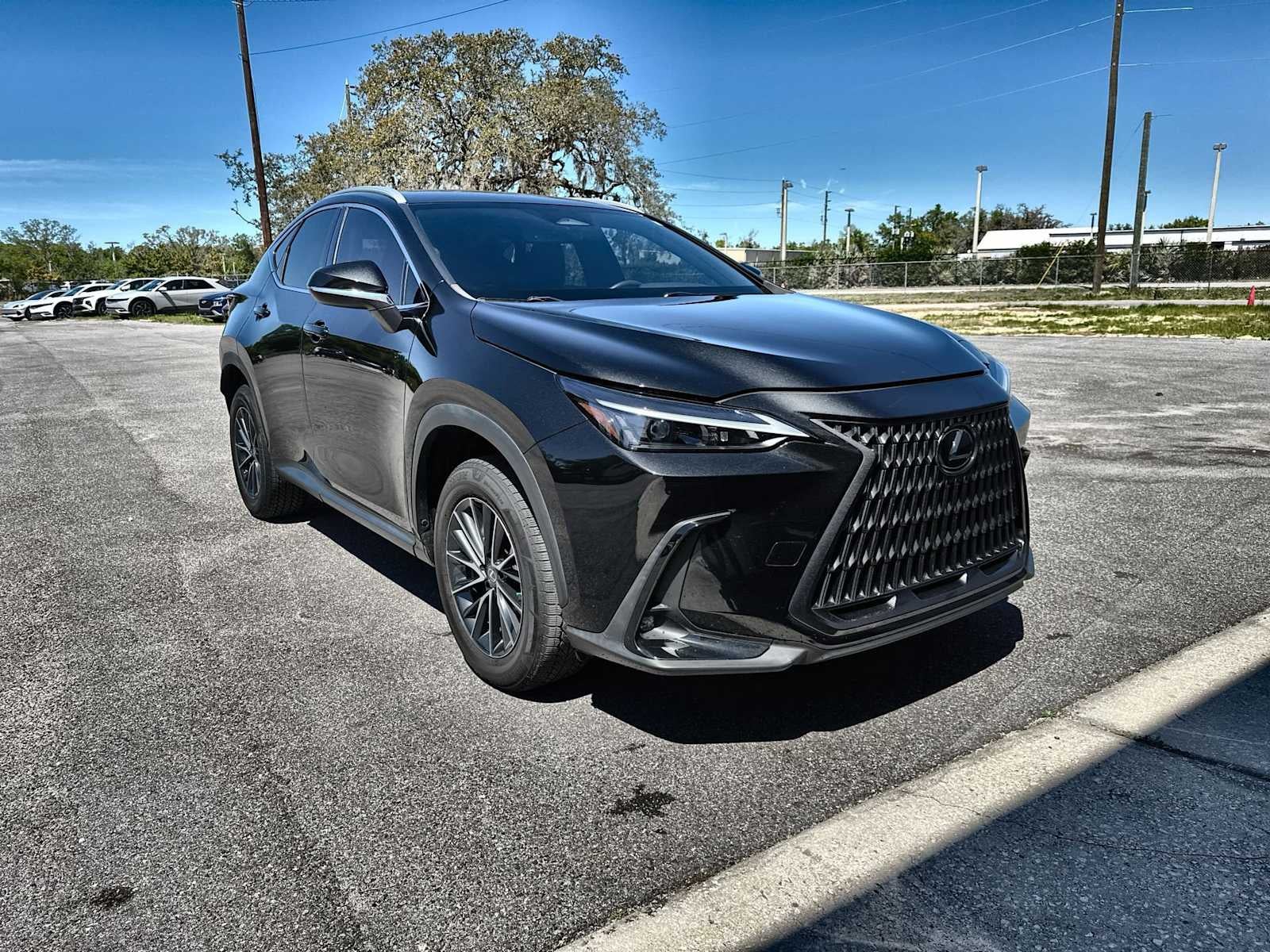 Lexus NX 250 2022 NX 250