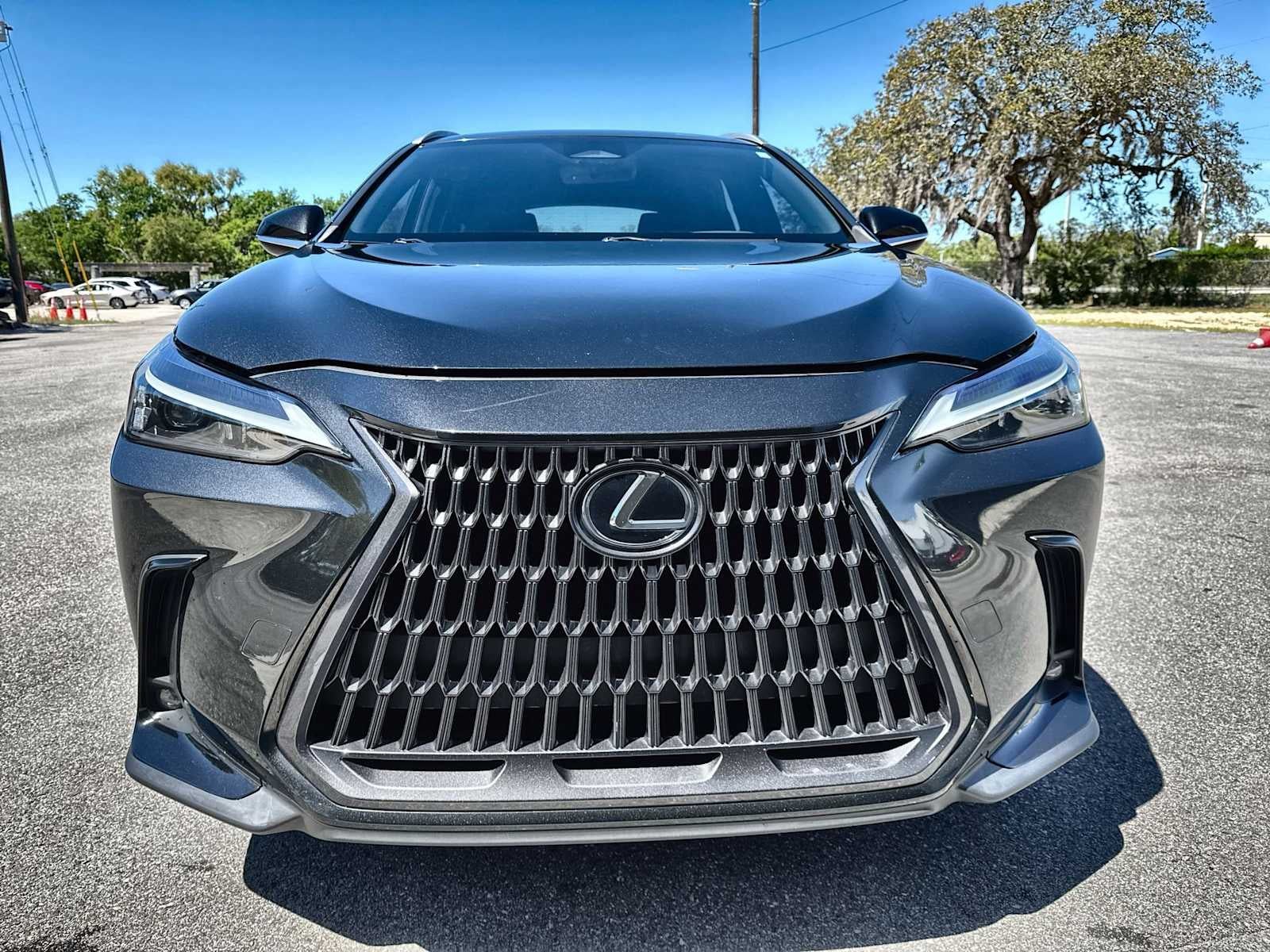 Lexus NX 250 2022 NX 250