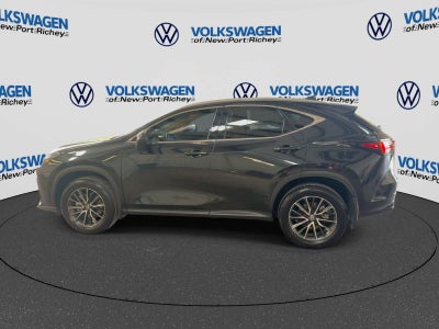 Lexus NX 250 2025 NX 250