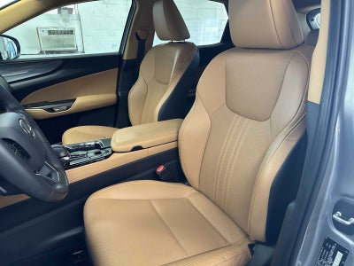 Lexus NX 250 Premium 2025