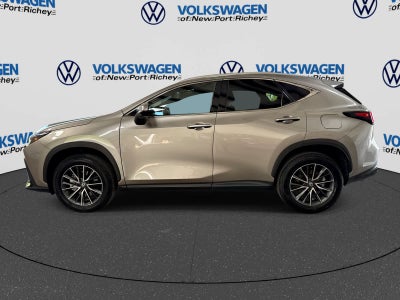 Lexus NX 350 Premium 2026