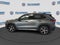 Volkswagen Tiguan SE 2026