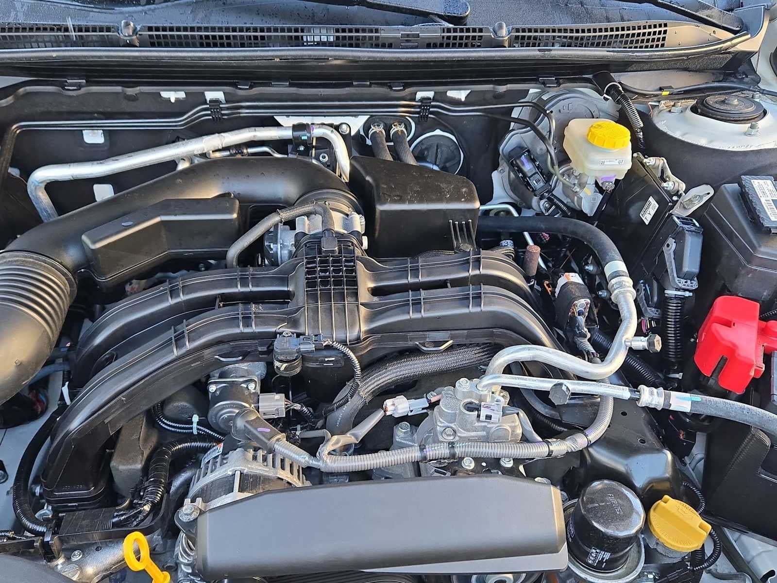 Subaru Outback Premium 2024