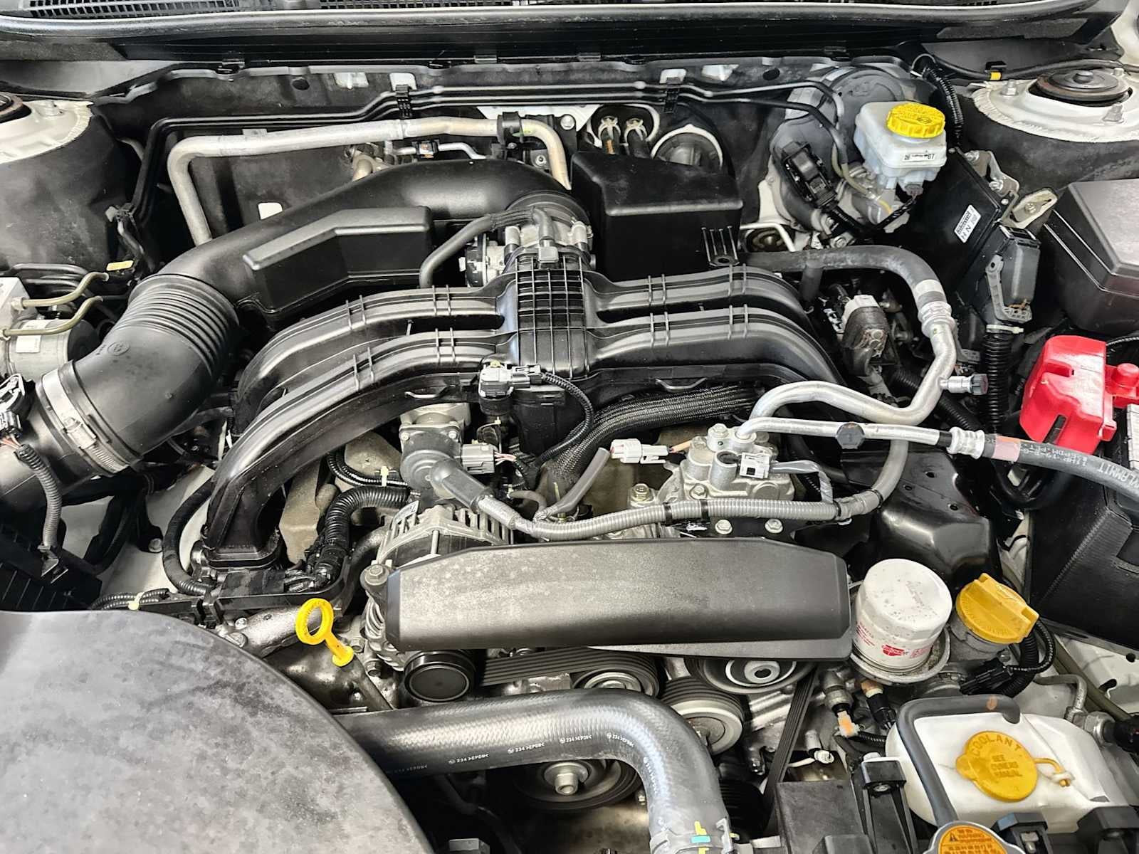 Subaru Outback Premium 2024