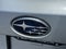 Subaru Outback Premium 2024
