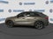 Audi Q8 Premium 2026