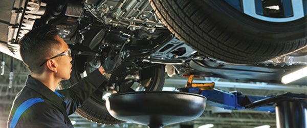 Planes de mantenimiento programado prepagados Volkswagen Care en Volkswagen of New Port Richey de New Port Richey FL