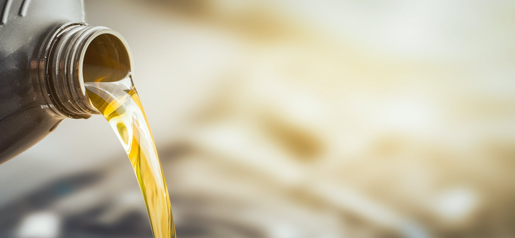 Servicio Volkswagen cerca de Tampa, FL