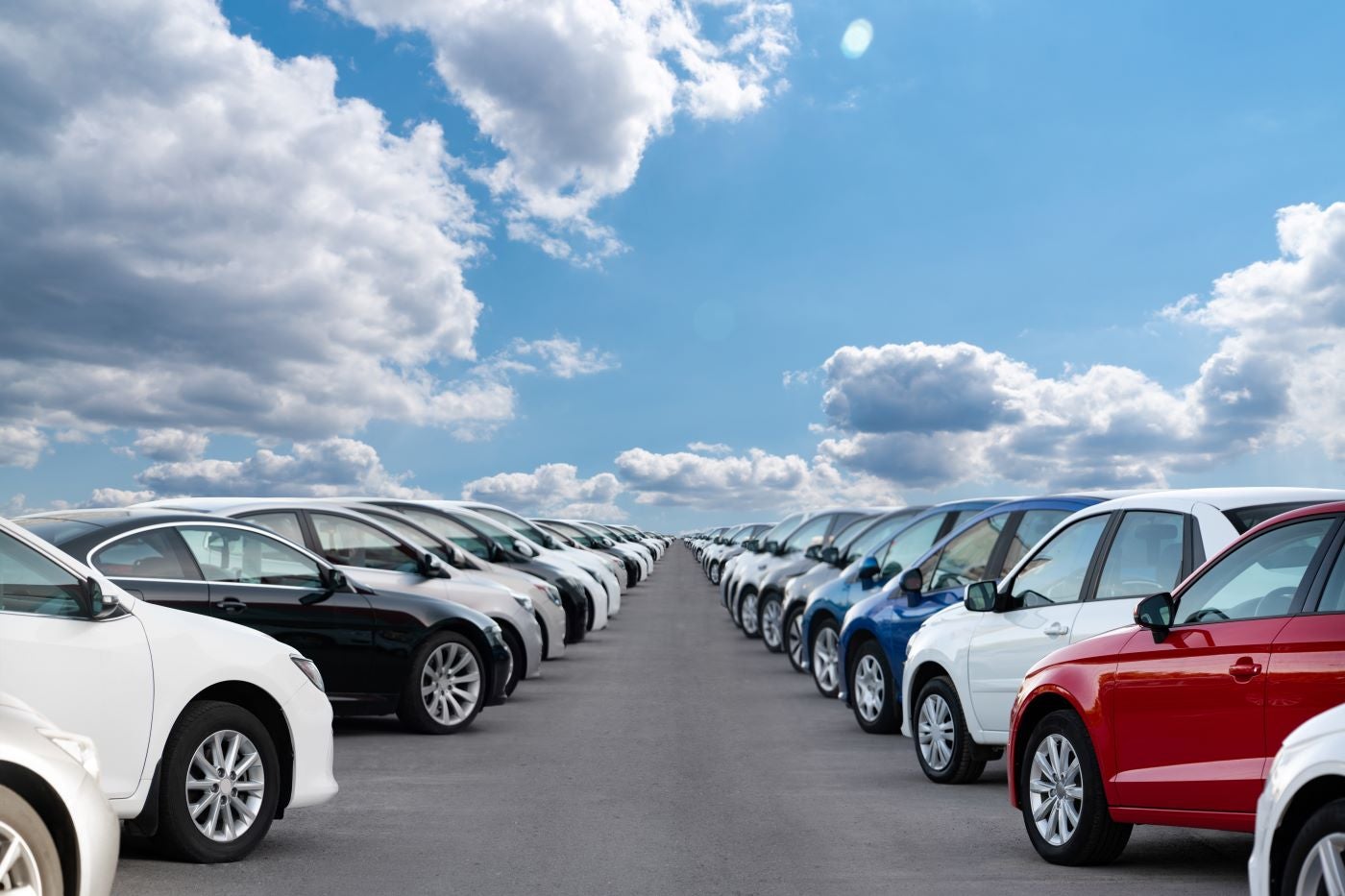 Concesionario de coches de segunda mano en Lutz (Florida)